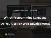 Which programming language do you use for web development projects